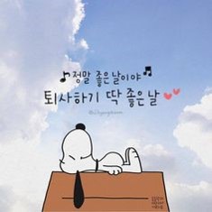 퇴사하는 꿈 해몽풀이 [무료 꿈해몽]