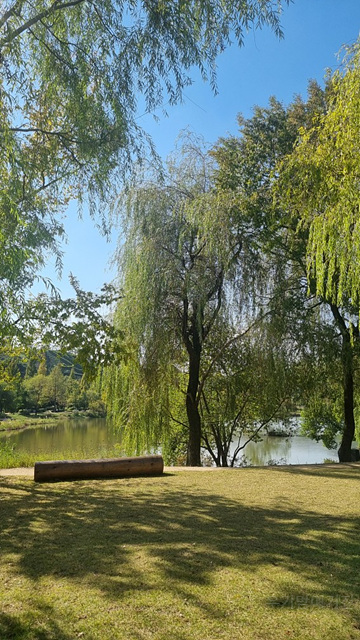 2025 순천만 국가정원 순천여행 맛집 현지인 추천 맛집 순천만 숙박