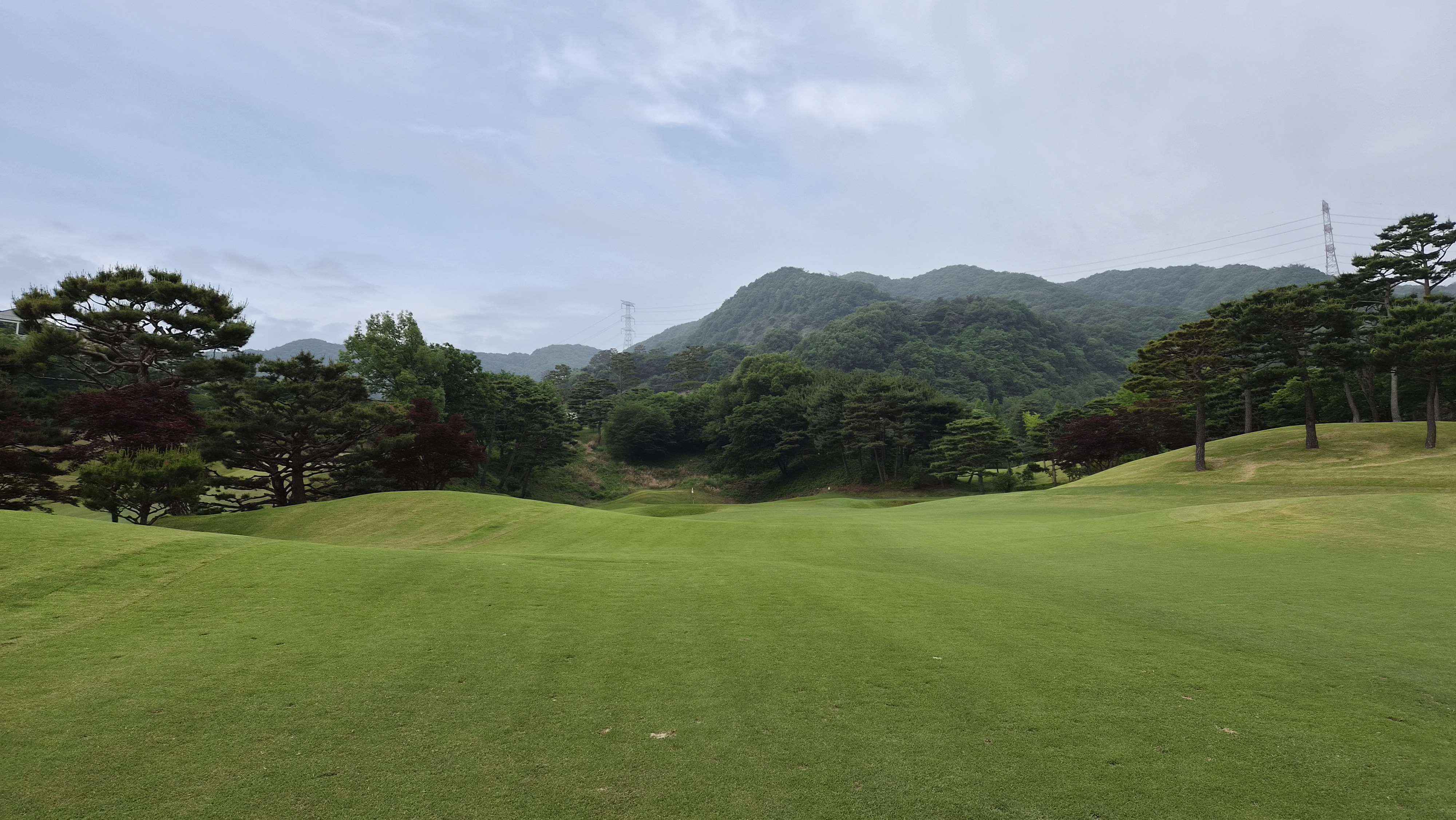 천룡cc 황룡-청룡 코스 사진 및 공략 정보