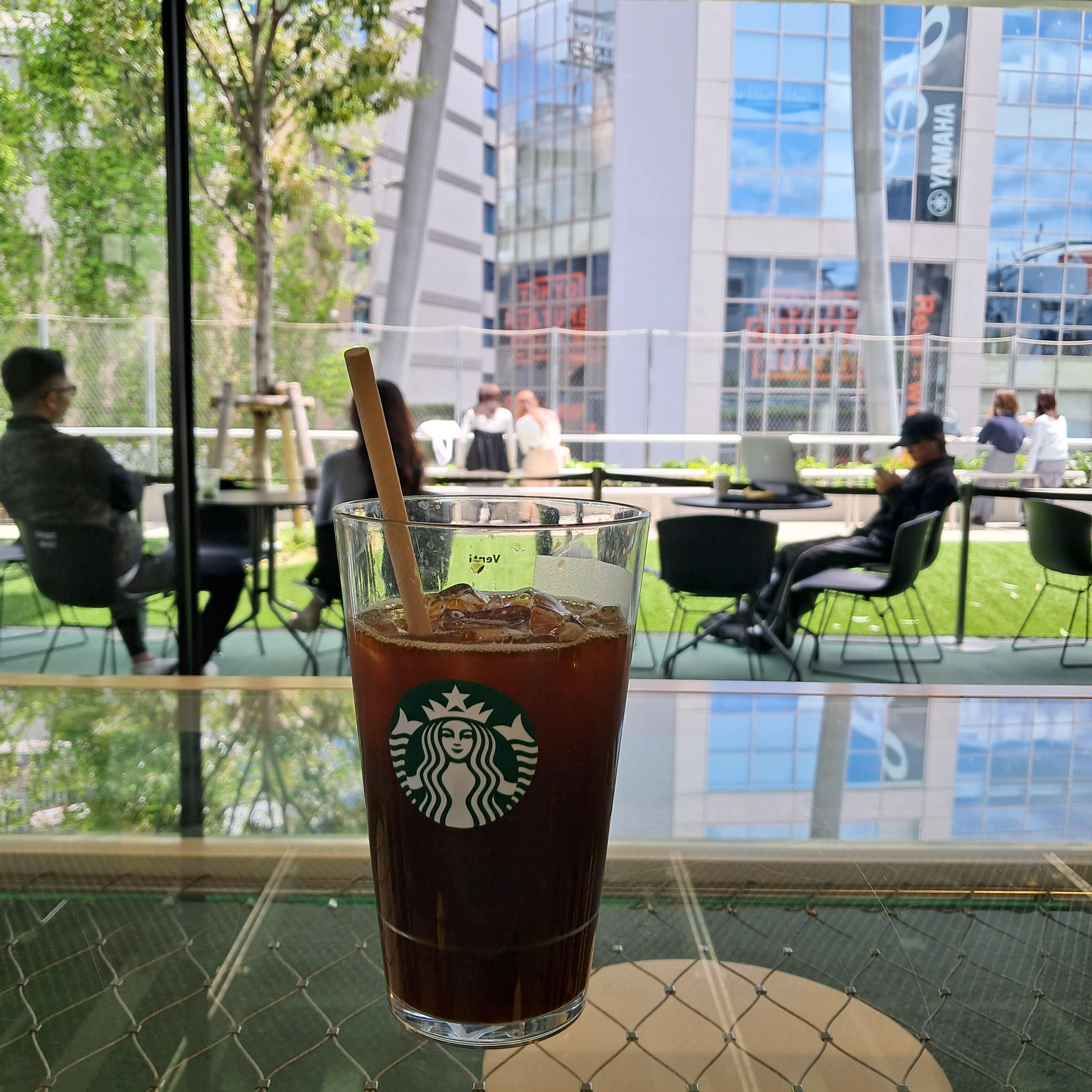 스타벅스에서 마신 아이스 커피, 통유리 너머로 녹지와 건물