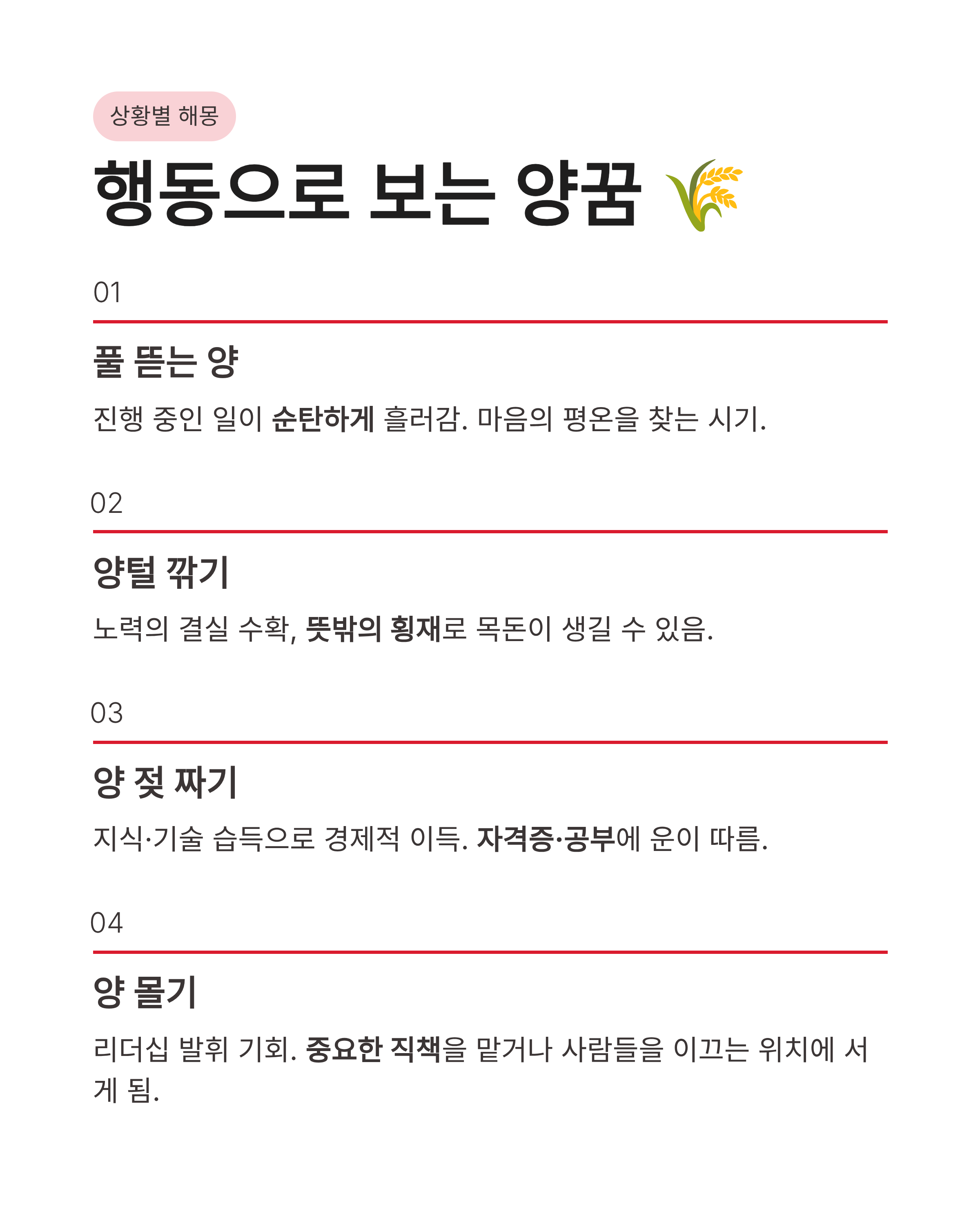 양꿈 해몽 흰 양 태몽부터 새끼 양떼까지 상황별 완벽 풀이! 재물운이 넝쿨째 굴러온다고?