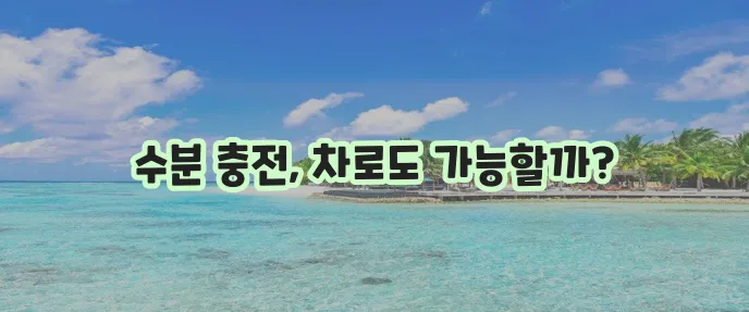 물 대신 마실 수 있는 차 종류를 알아봅시다!