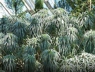 국립생태원 예약 방법