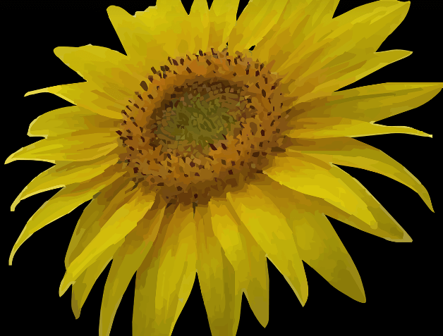 기억력 좋아지는 음식과 관련 된 사진 - 12