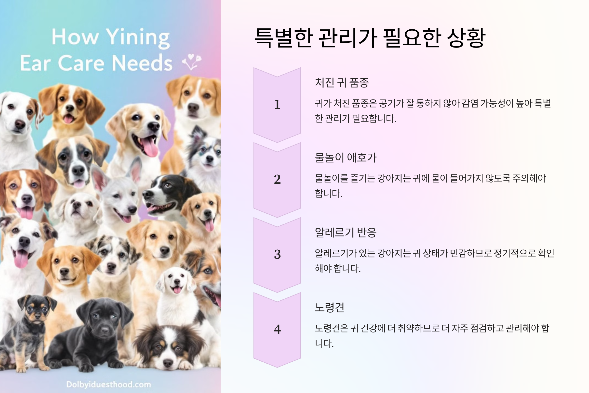 특별한 관리가 필요한 상황