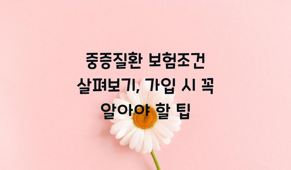 중증질환 보험조건