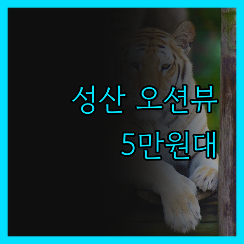 더 베스트 제주 성산.. 5만원대로
