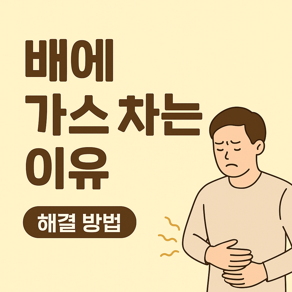 배에 가스 차는 이유와 해결 방법 총정리