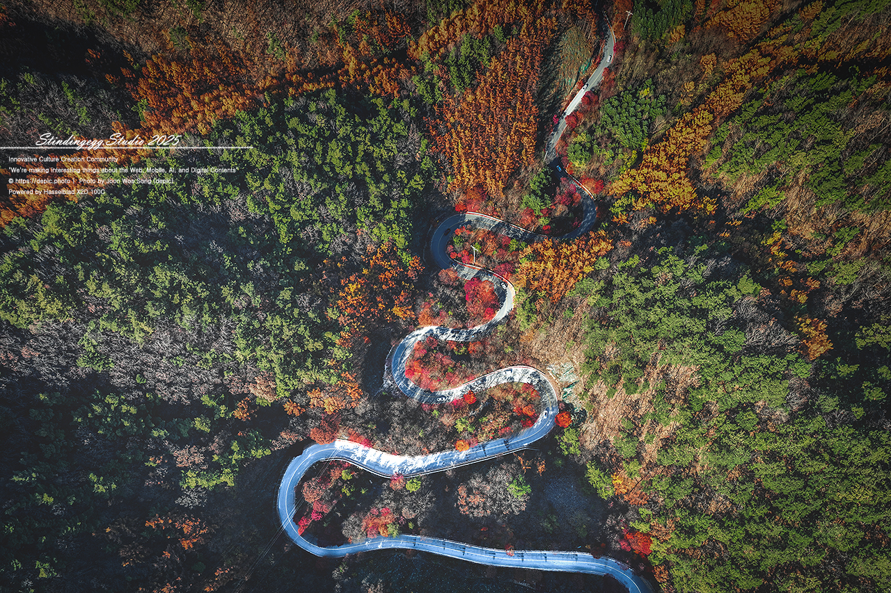 #단양 #말티재 #보발재 #언덕 #가을 #단풍