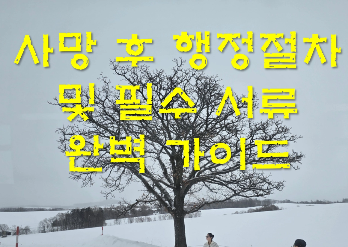 사망 후 행정절차 및 필수 서류 완벽 가이드