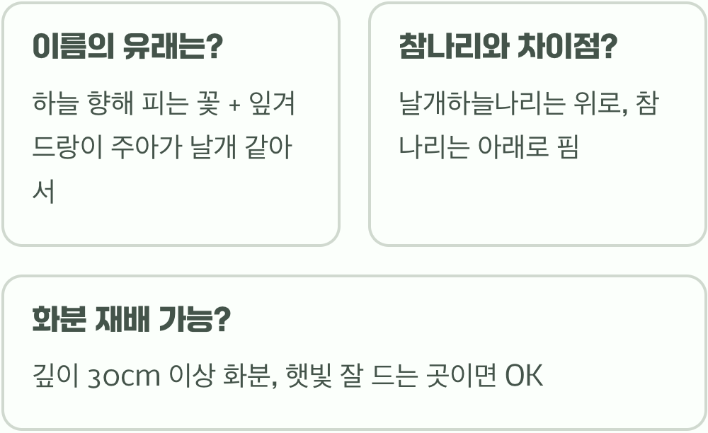 날개하늘나리 구근 심는 시기&amp;#44; 가을에 심어야 할까 봄에 심어야 할까?