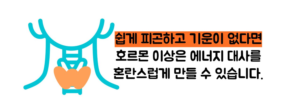 갑상선 기능 항진증 증상
