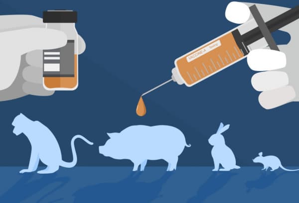 동물 실험 대체를 향한 전환: 오가노이드 연구