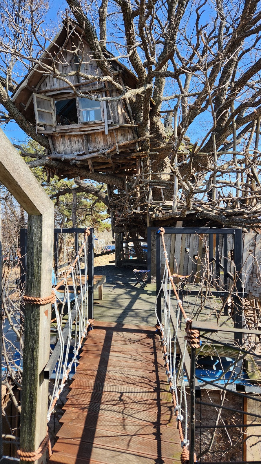 나무위에있는집