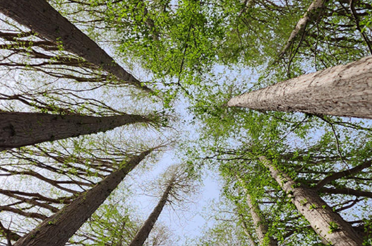 익산 아가페정원