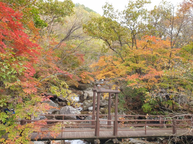 단풍이 아름다운 방태산 구룡교