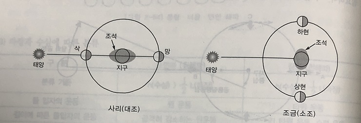 대조(사리)-소조(조금)-때의-조차