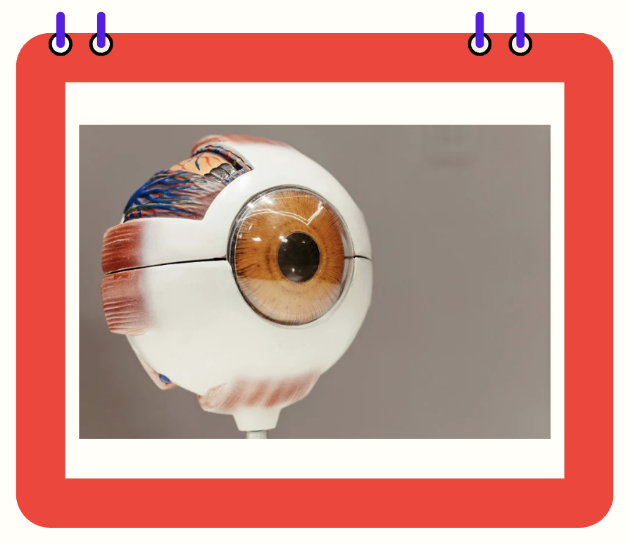 천안녹내장안과 전문병원