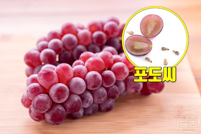 대장내시경 음식 포도