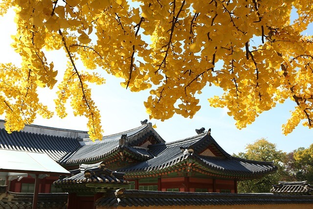 한국 민화 속 상징과 컬러 심리 해석