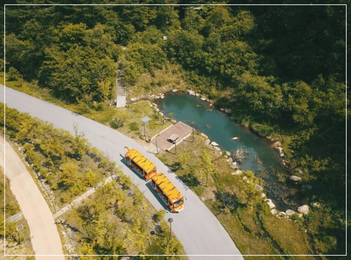 봉화 가볼만한곳 베스트10 국립백두대간수목원