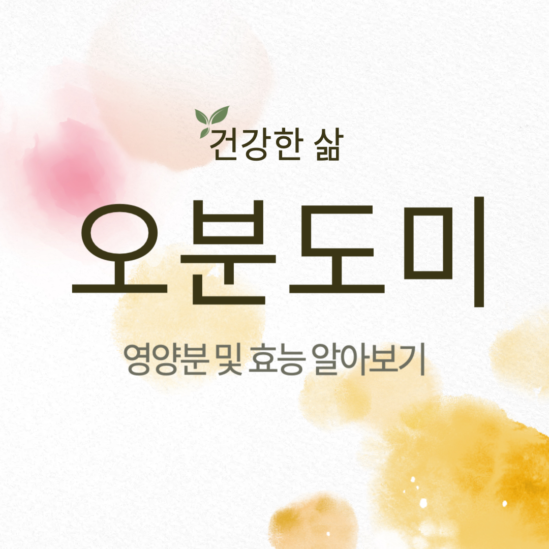 오분도미 효능과 영양, 알고 먹으면 더 맛있다!