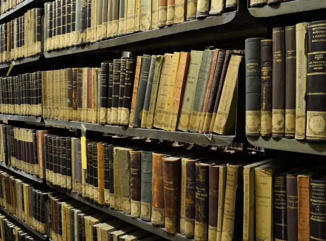 독서가 관점 확장력을 사고의 기본 틀로 재구성하는 방식