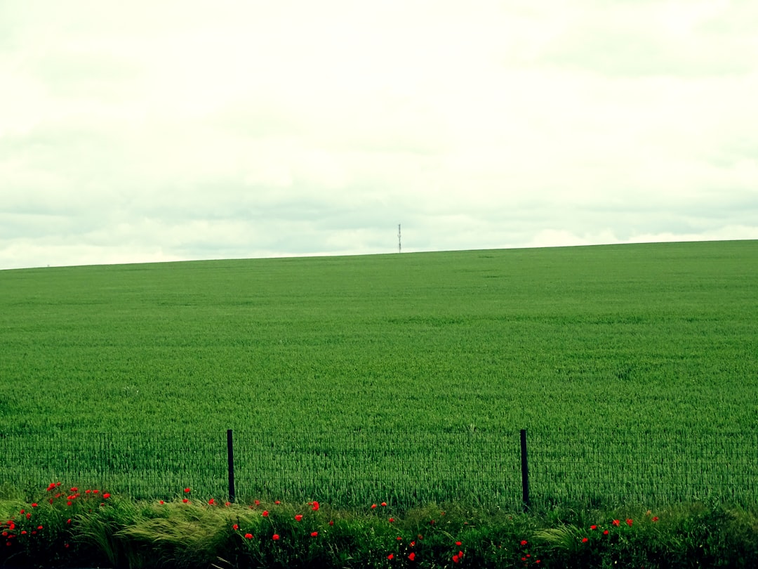 Land.