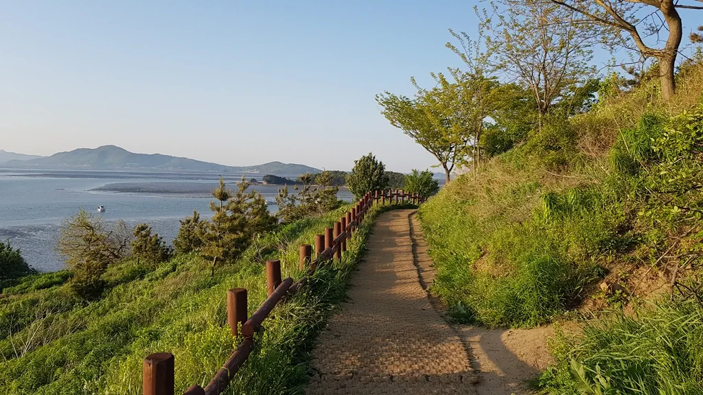 예단포 둘레길 해안 산책로. 야자 매트가 깔린 완만한 길.