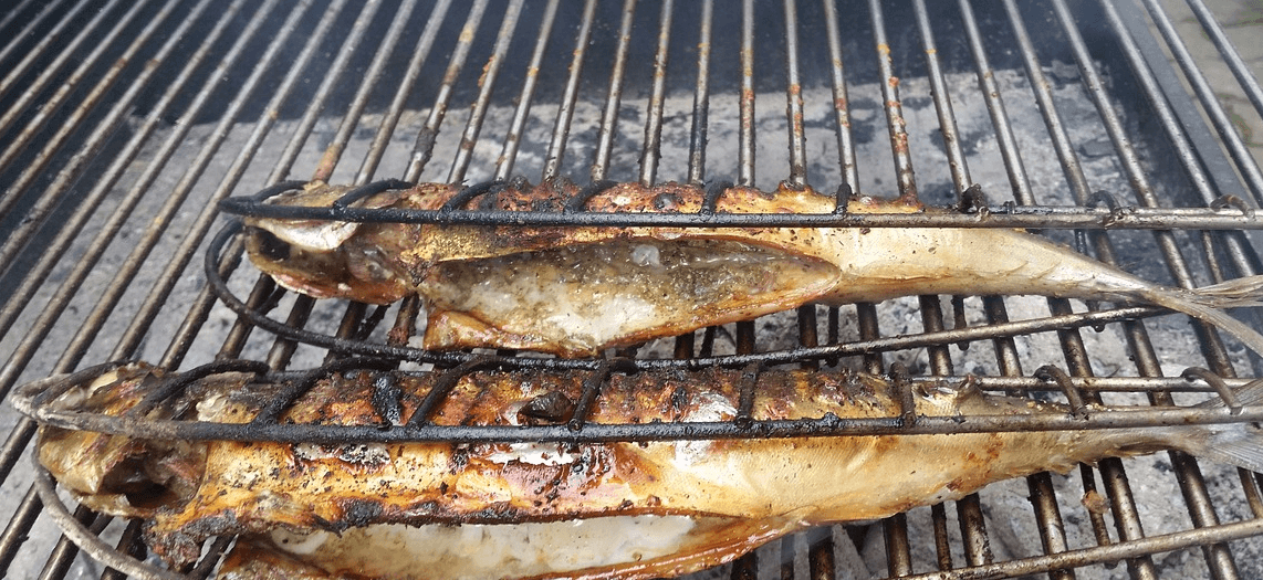 고등어 효능과 관련된 고등어와 생선 사진 - 2