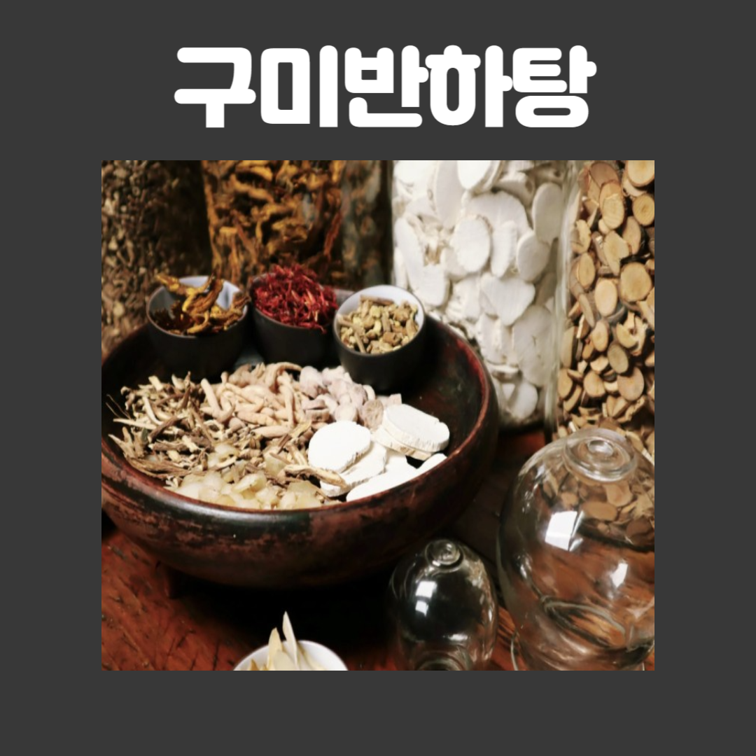 구미반하탕 효능 및 정보 알아보기, 다이어트 걱정 뚝