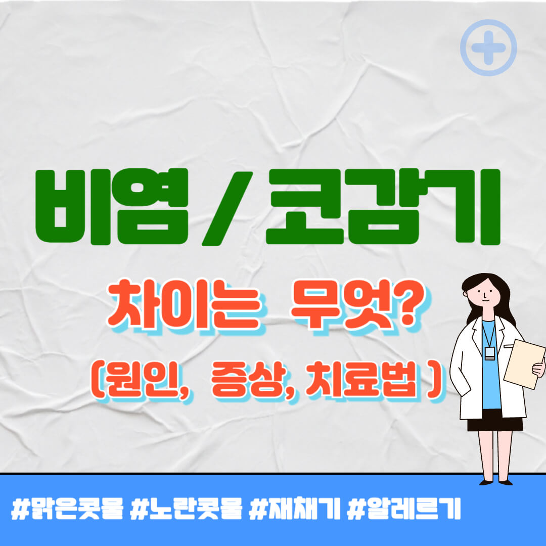 비염 코감기 차이 썸네일