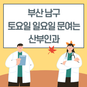 부산 남구 토요일 일요일 산부인과 진료 병원 리스트