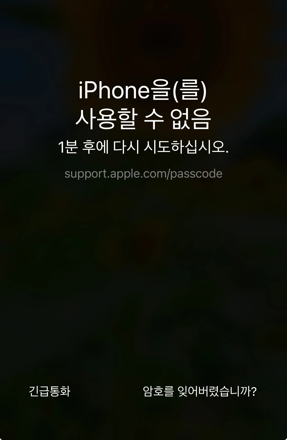 아이폰 비밀번호 분실 (잠금해제, 복구모드, iCloud백업)