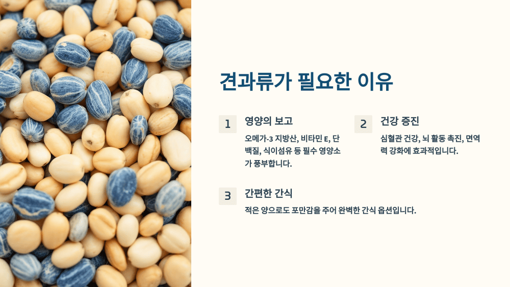 왜 견과류가 필요할까?