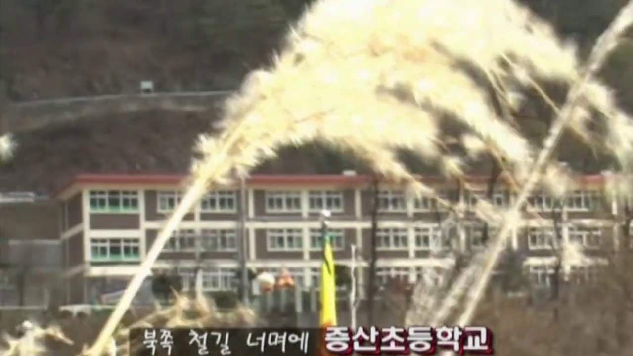 억새 너머 철길 건너편으로 보이는 증산초등학교.