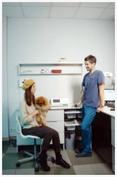 반려견 다이어트 하는법