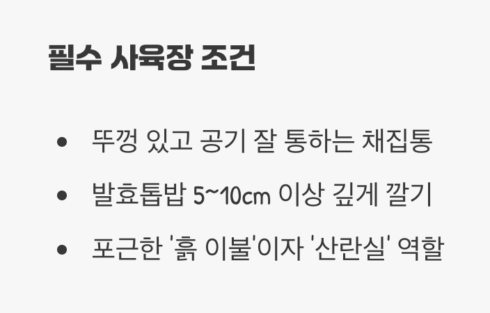 아늑한 숲속 집 꾸미기, '사육장 세팅'