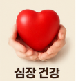 석류 효능