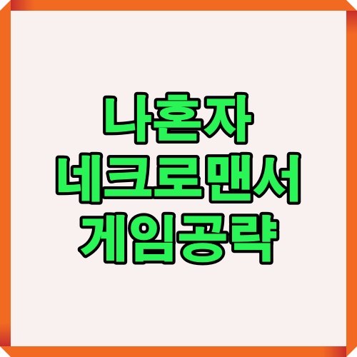 나혼자 네크로맨서 공략 콘텐츠 대표 이미지