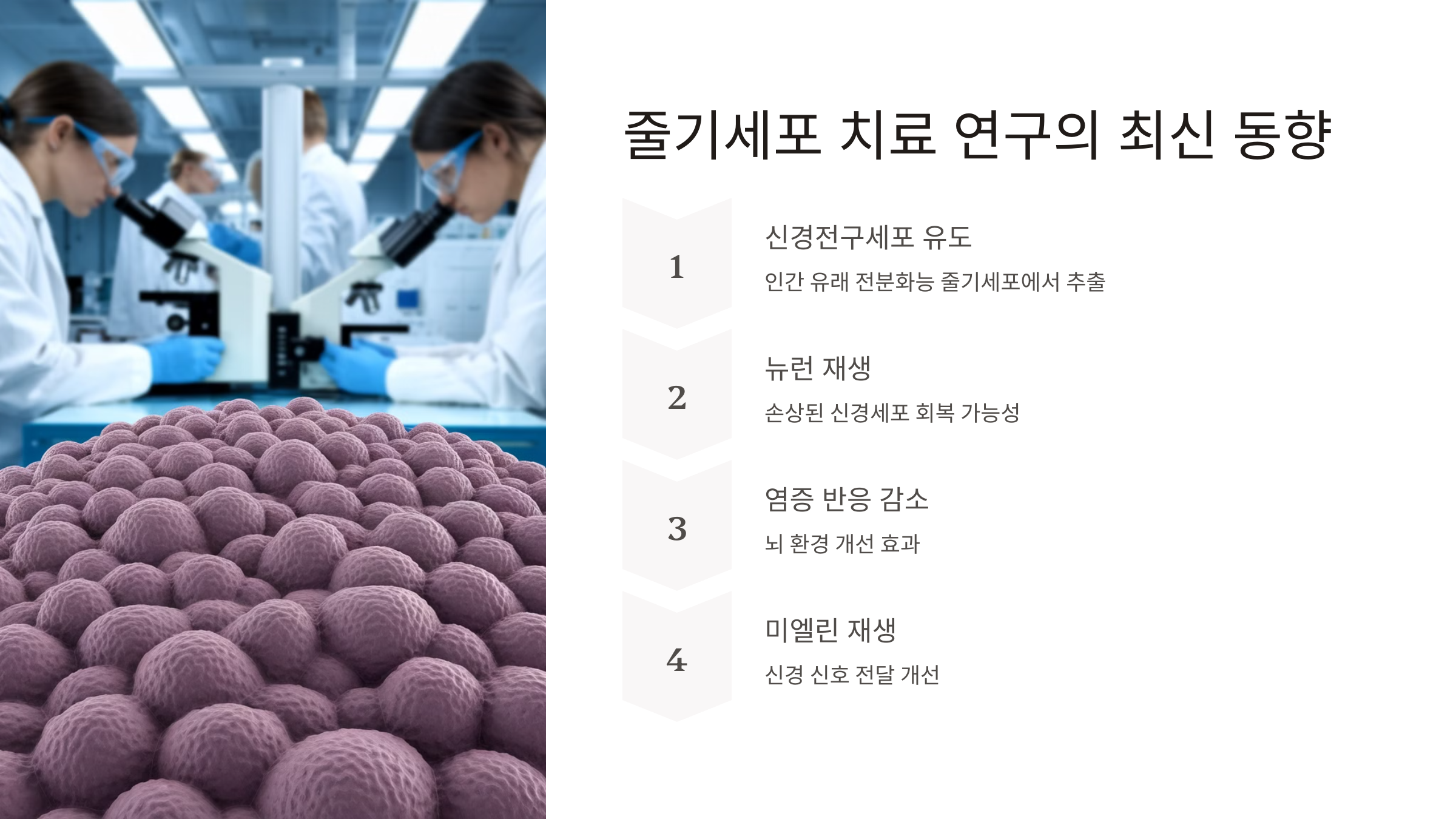 줄기세포 최신 연구 동향