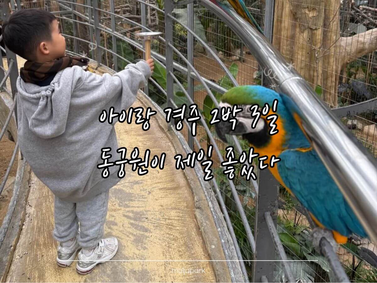 아이랑 경주 2박 3일 여행 중 동궁원에서 새를 가까이 본 모습