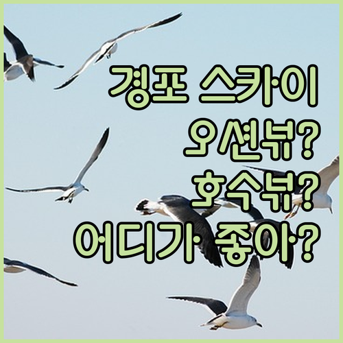 스카이베이 호텔 경포.. 오션뷰 VS