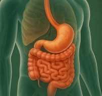 장염에 좋은 음식