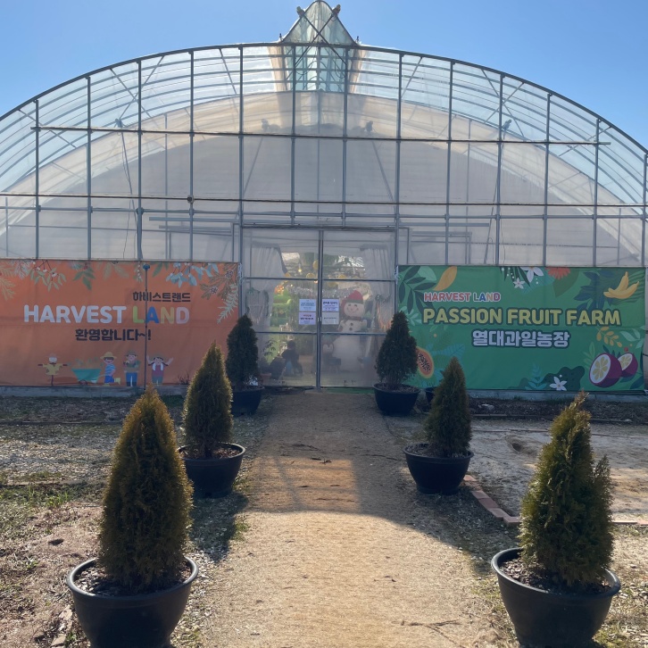 장성-하비스트랜드-3