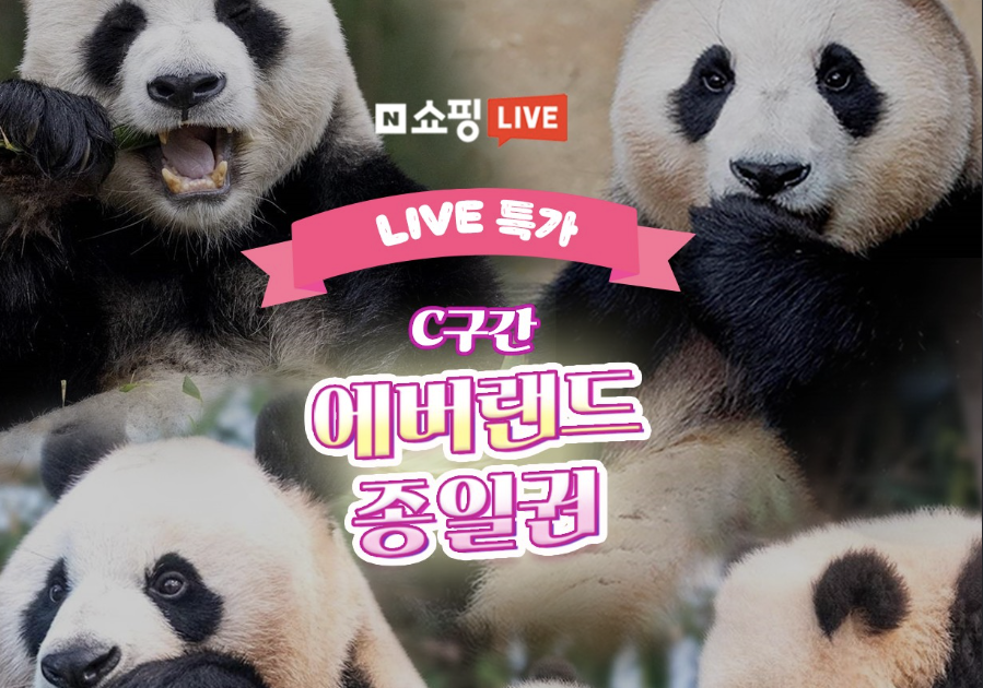 서울 에버랜드 셔틀버스 종일 자유이용권 싸게 구매하는 방법