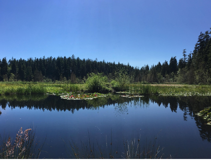 가족여행에 좋은 안정하고 흥미로운 해외 도시 3곳