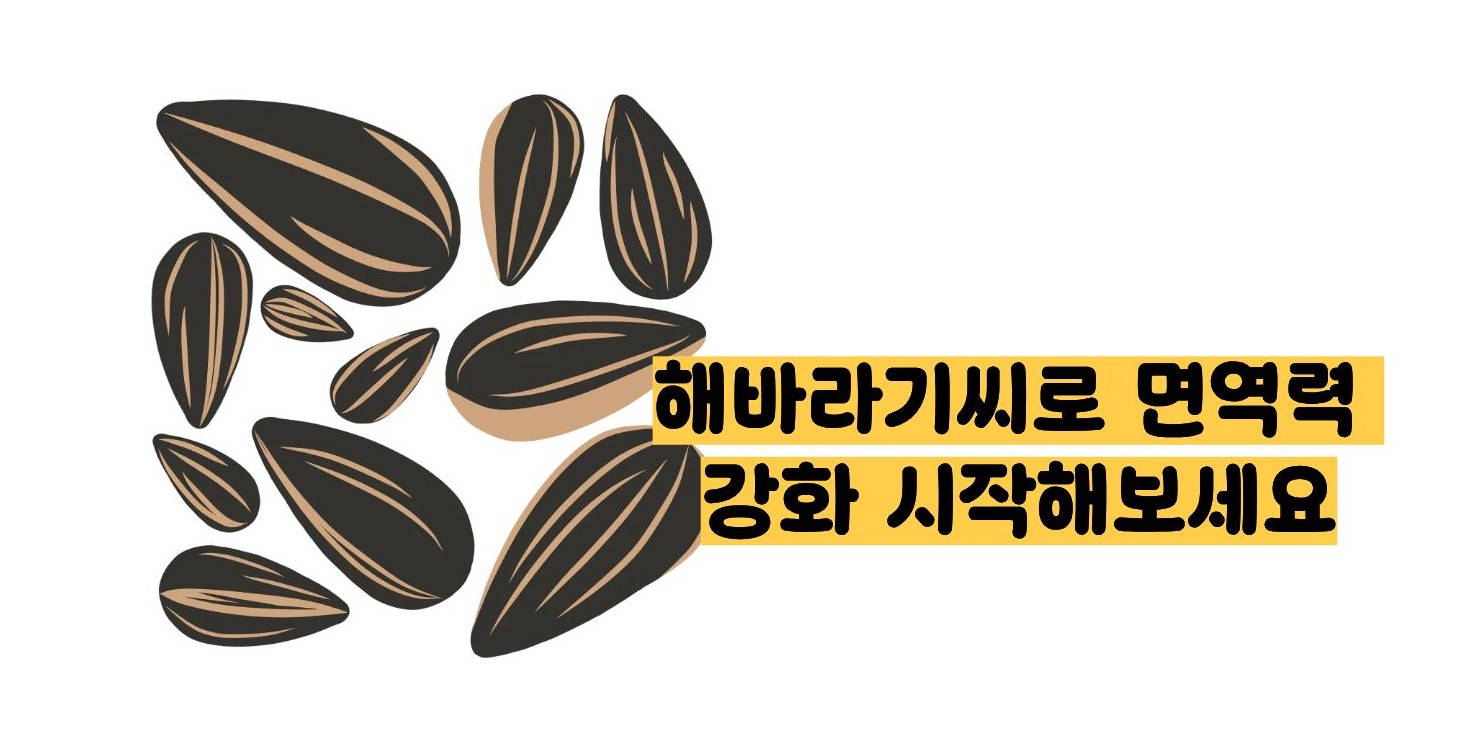 해바라기 씨 효능