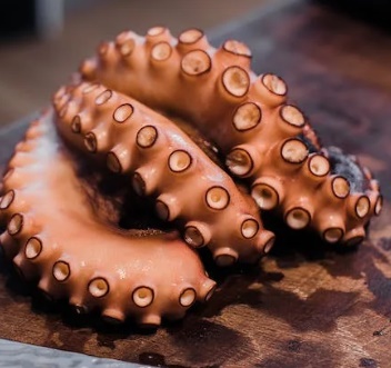 낙지 연포탕 만드는 법