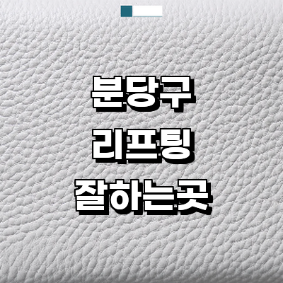 성남 분당구 리프팅 병원